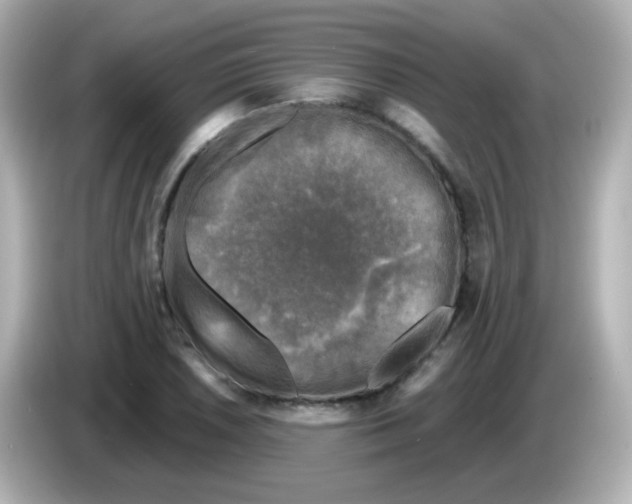 X0000086051026200704091206