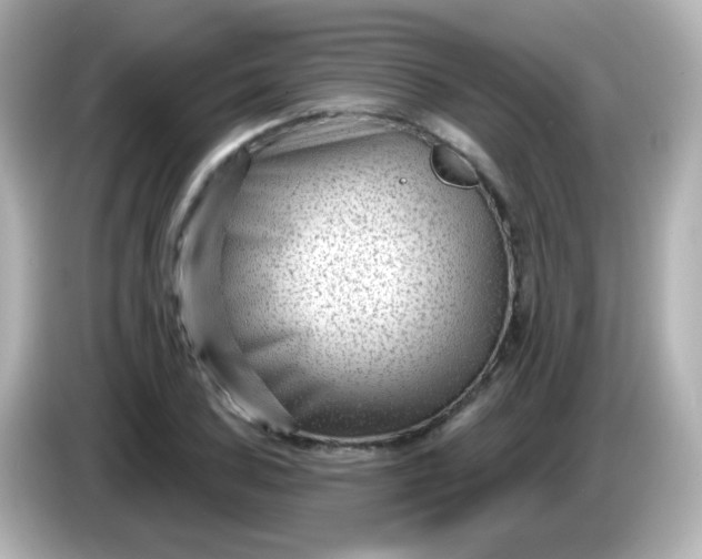 X0000086051027200704091206