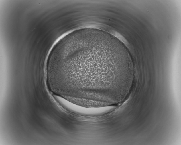 X0000086051028200704091206