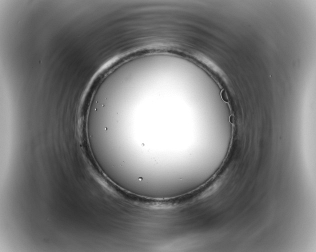 X0000086051029200704091206