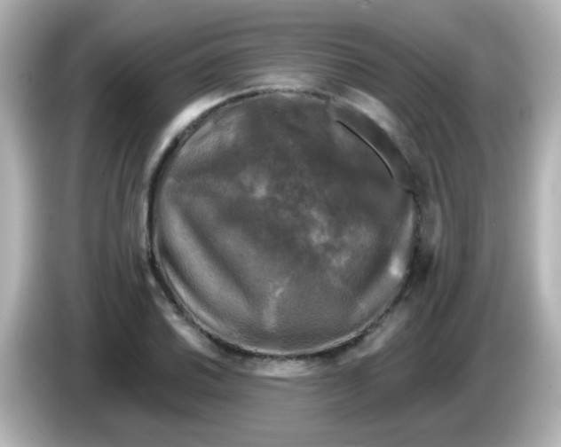 X0000086051030200704091206