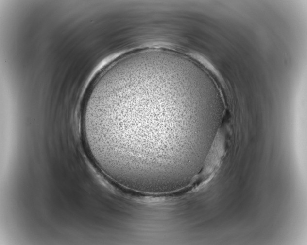 X0000086051032200704091206
