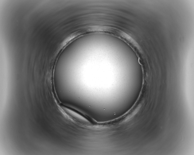 X0000086051033200704091206