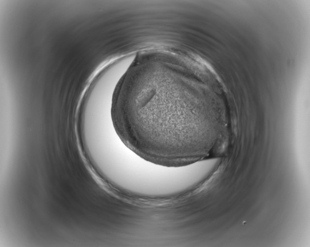 X0000086051034200704091206