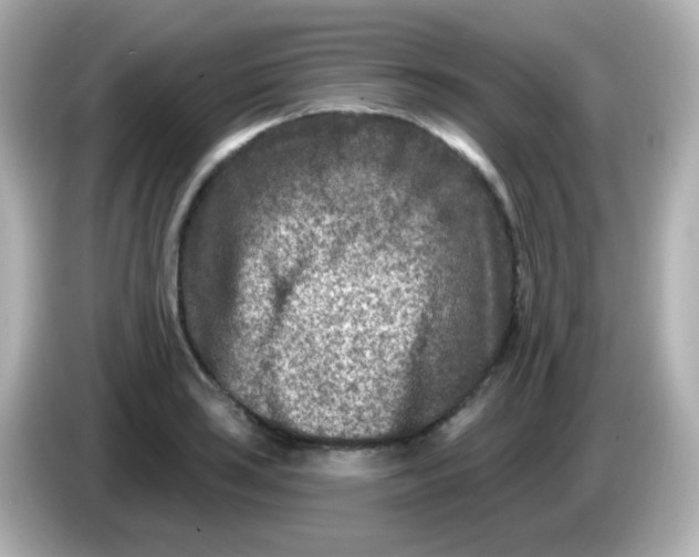X0000086051035200704091206