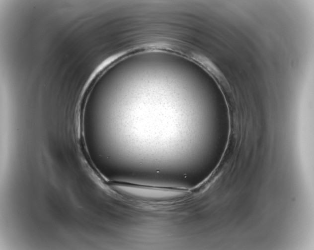 X0000086051036200704091206