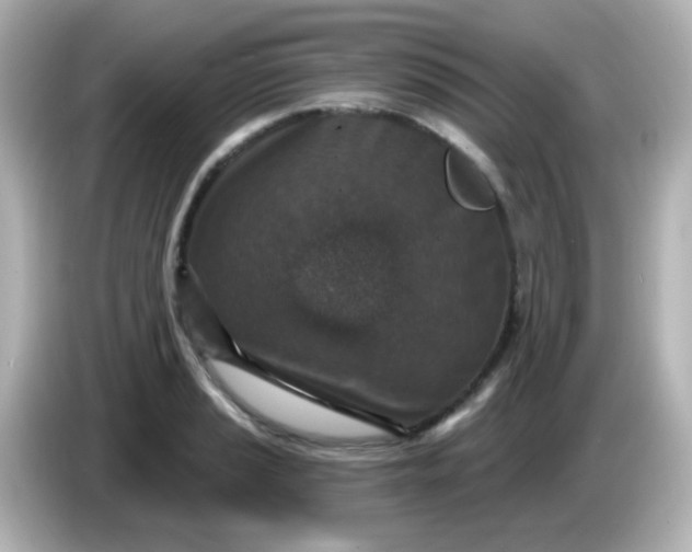 X0000086051037200704091206