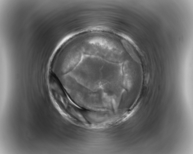 X0000086051038200704091206