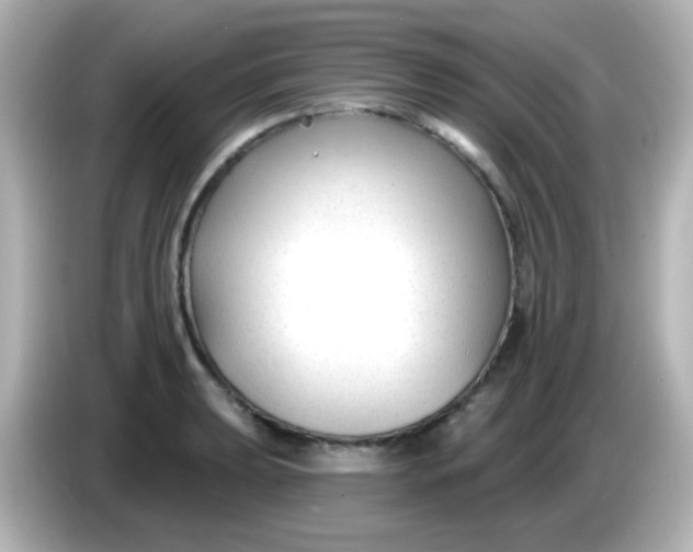 X0000086051039200704091206