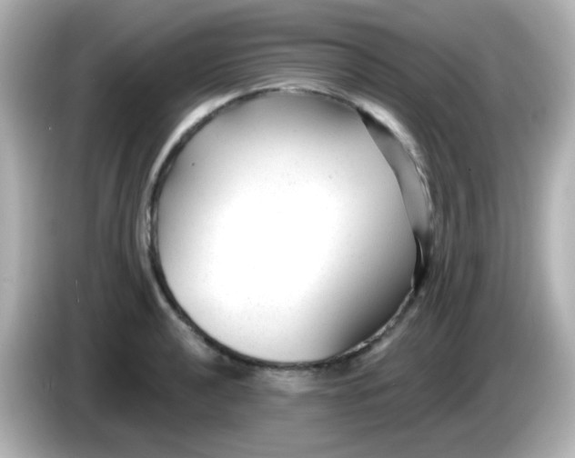 X0000086051040200704091206