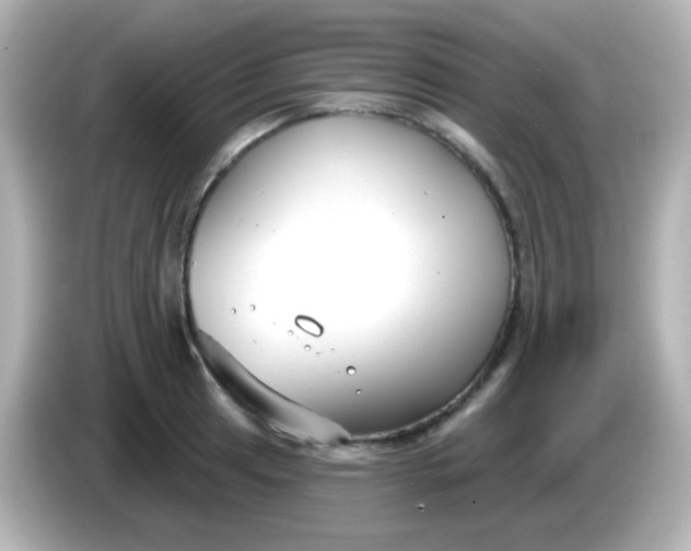 X0000086051041200704091206