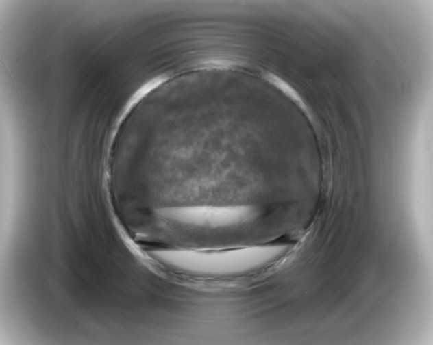 X0000086051042200704091206