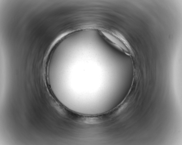 X0000086051043200704091206