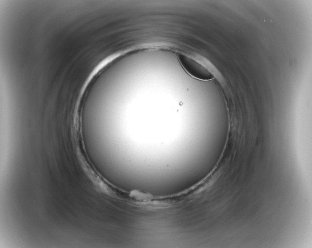 X0000086051044200704091206