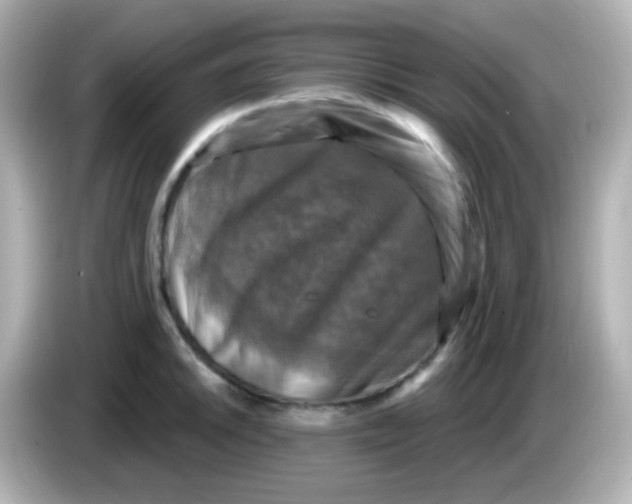 X0000086051046200704091206