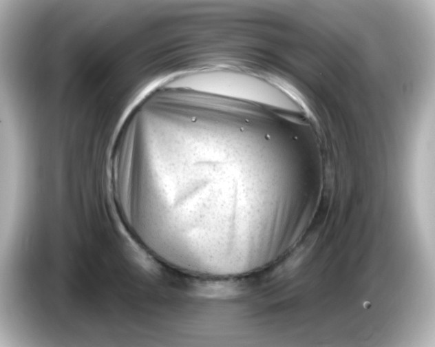 X0000086051047200704091206