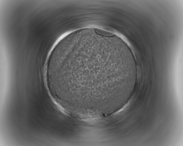 X0000086051048200704091206