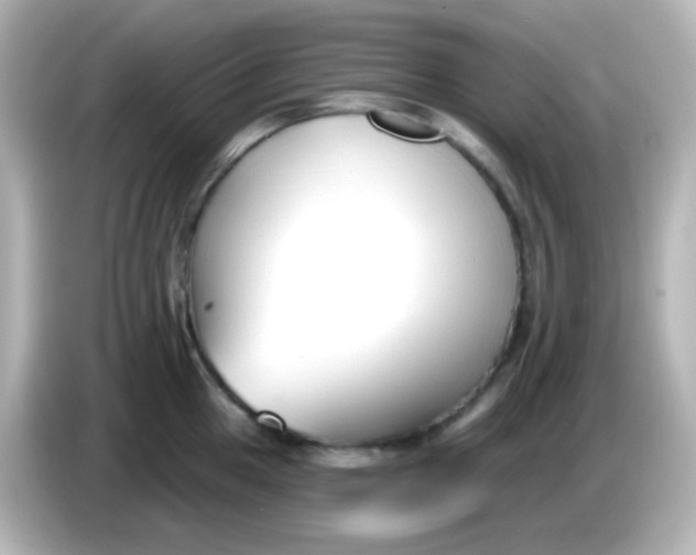 X0000086051049200704091206
