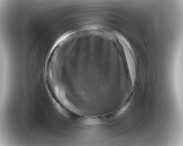 X0000086051050200704091206