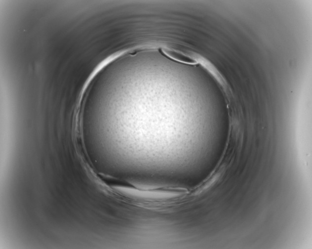X0000086051052200704091206