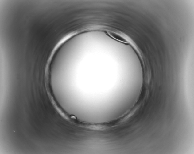 X0000086051053200704091206
