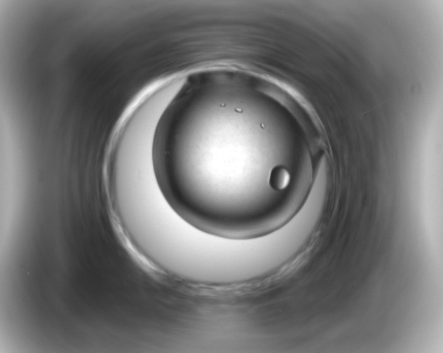 X0000086051054200704091206