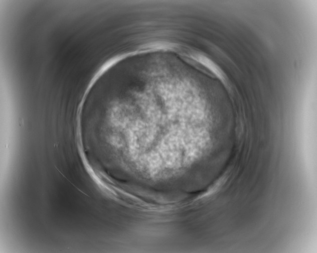 X0000086051055200704091206