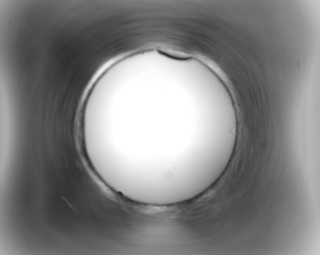 X0000086051056200704091206