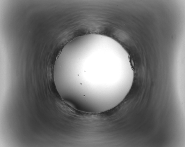 X0000086051058200704091205