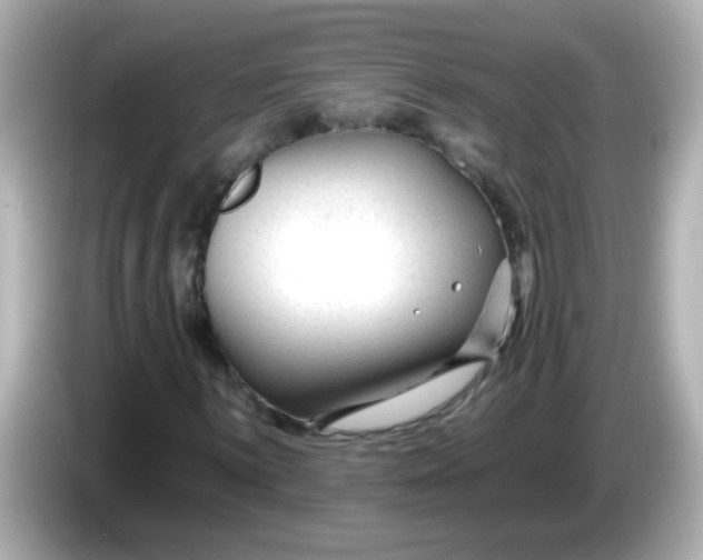X0000086051059200704091205