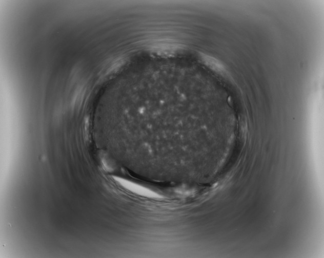 X0000086051060200704091205