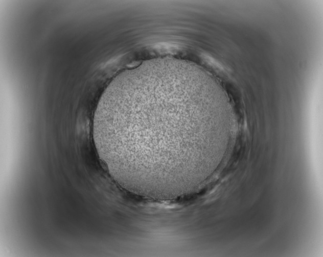 X0000086051061200704091205