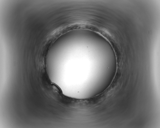 X0000086051062200704091205