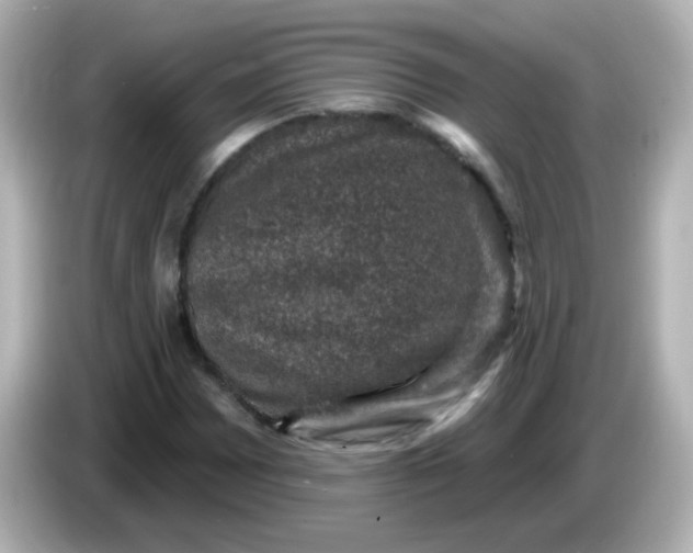 X0000086051065200704091205