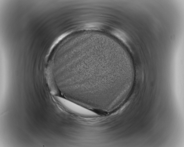 X0000086051066200704091205