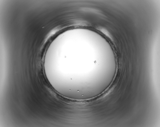 X0000086051067200704091205