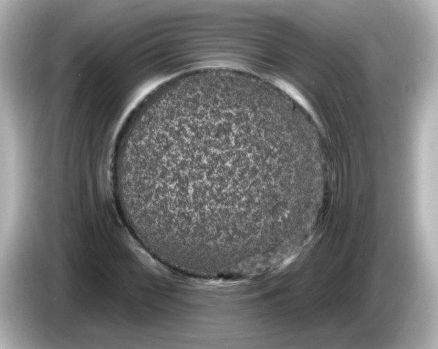 X0000086051068200704091205
