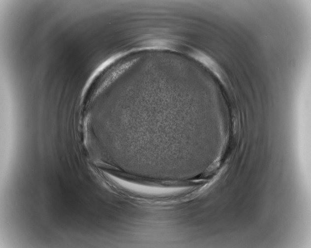 X0000086051069200704091205