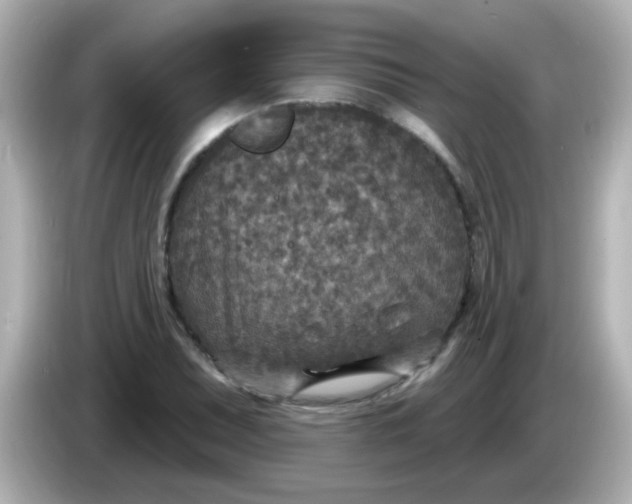 X0000086051071200704091205