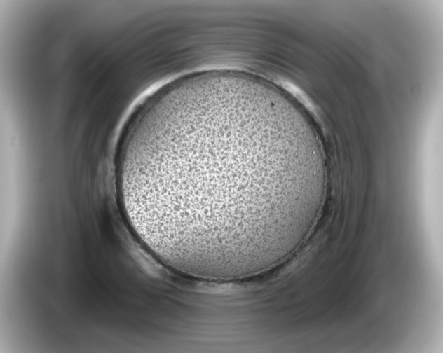 X0000086051072200704091205