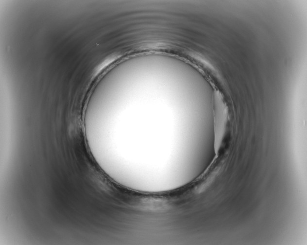 X0000086051073200704091205