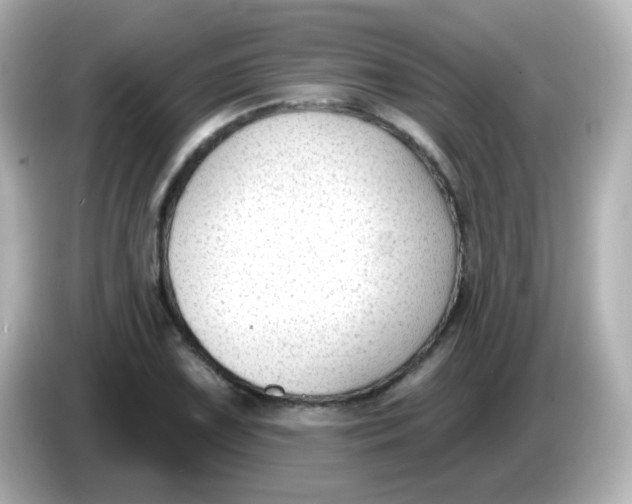 X0000086051075200704091205