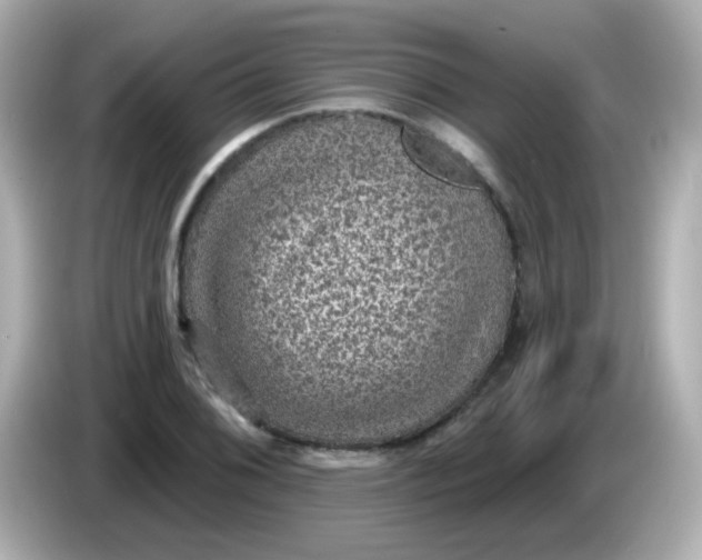 X0000086051076200704091205