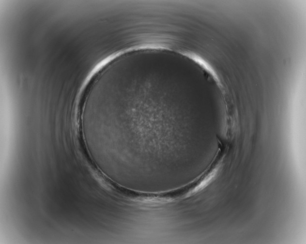 X0000086051077200704091205