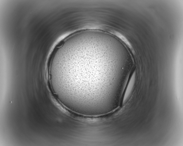X0000086051080200704091205