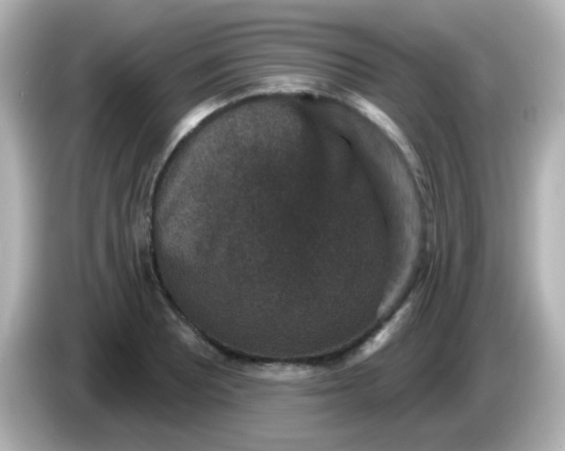 X0000086051081200704091205
