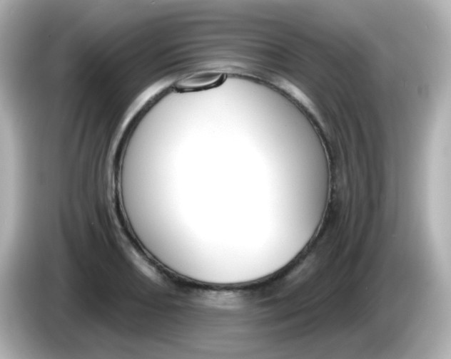 X0000086051082200704091205