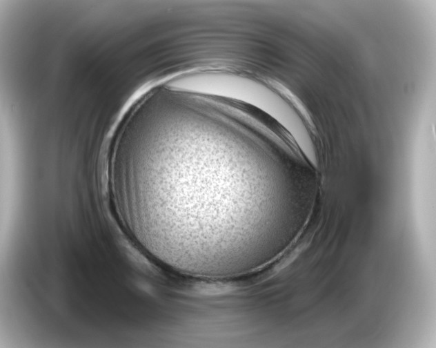 X0000086051083200704091205