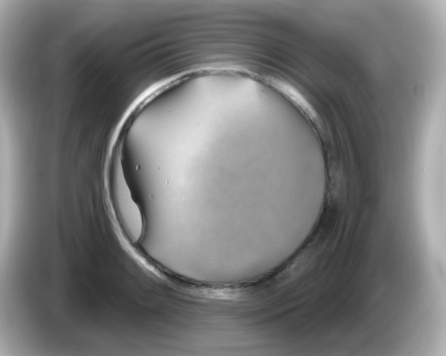 X0000086051084200704091205