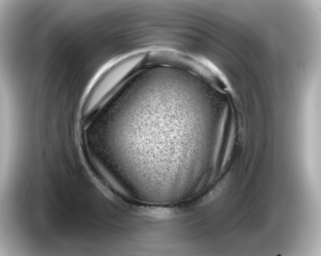 X0000086051085200704091205